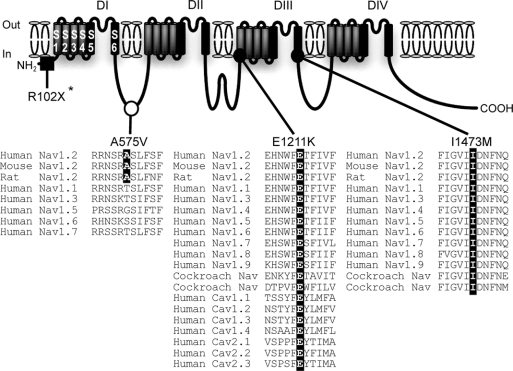 graphic file with name znl0370969900002.jpg