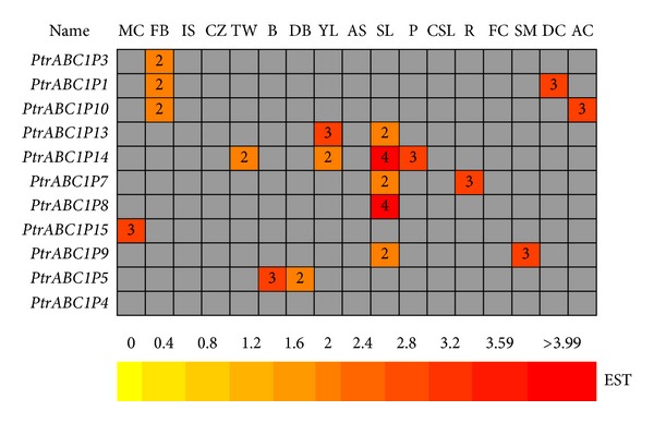 Figure 5