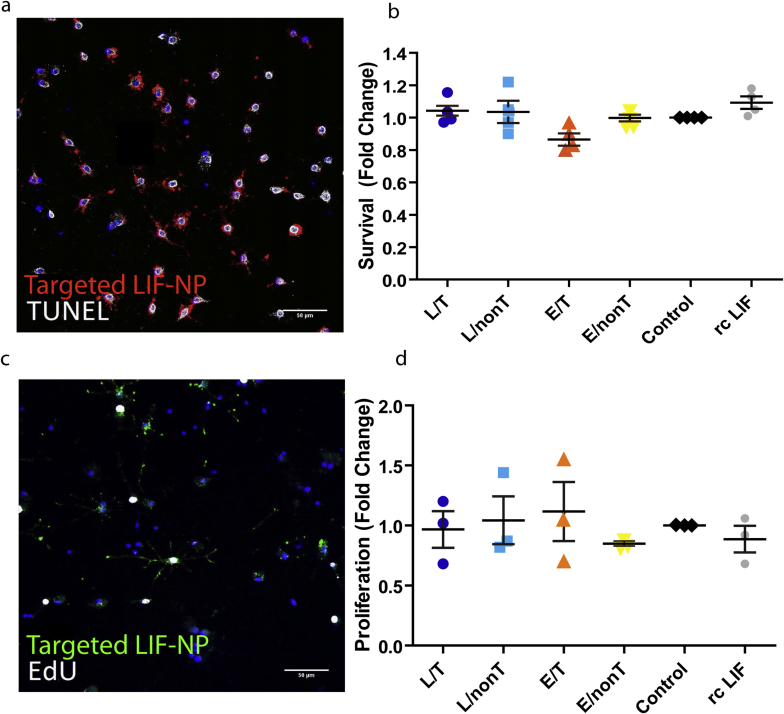 Supplementary Fig. 2