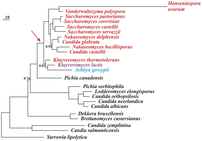 Figure 3.