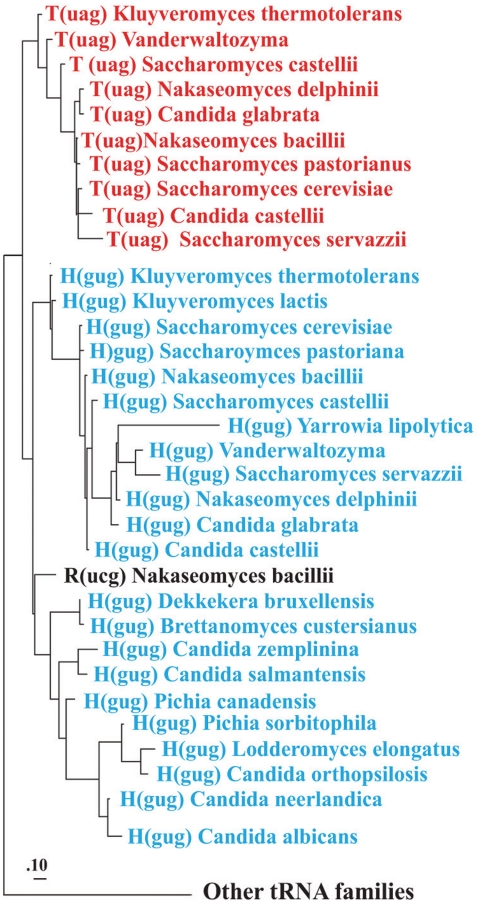 Figure 2.