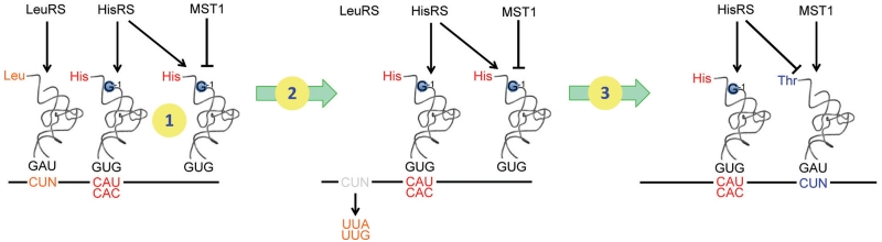 Figure 7.