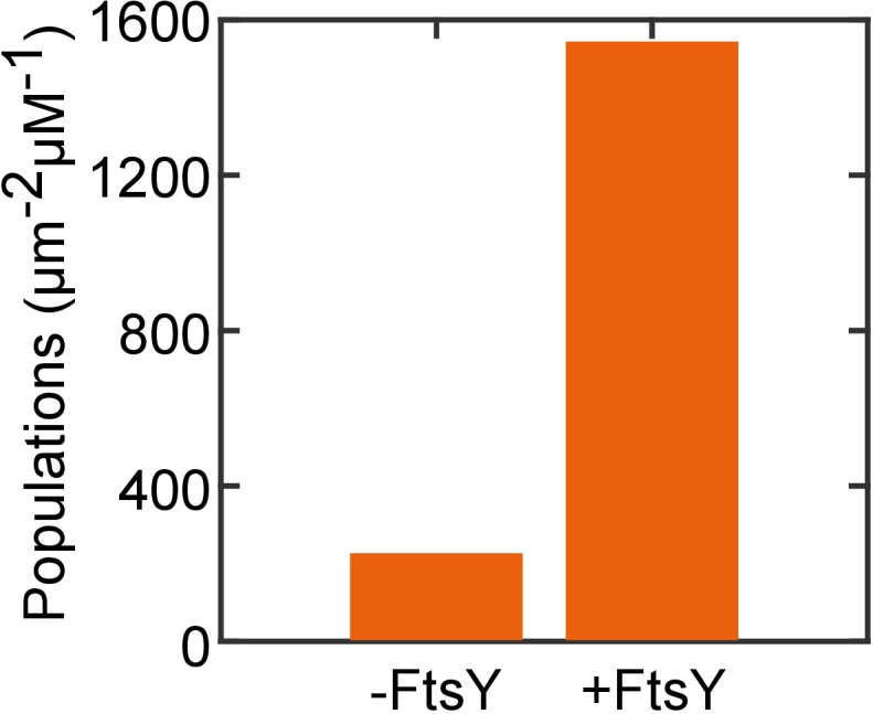 Figure 7—figure supplement 1.