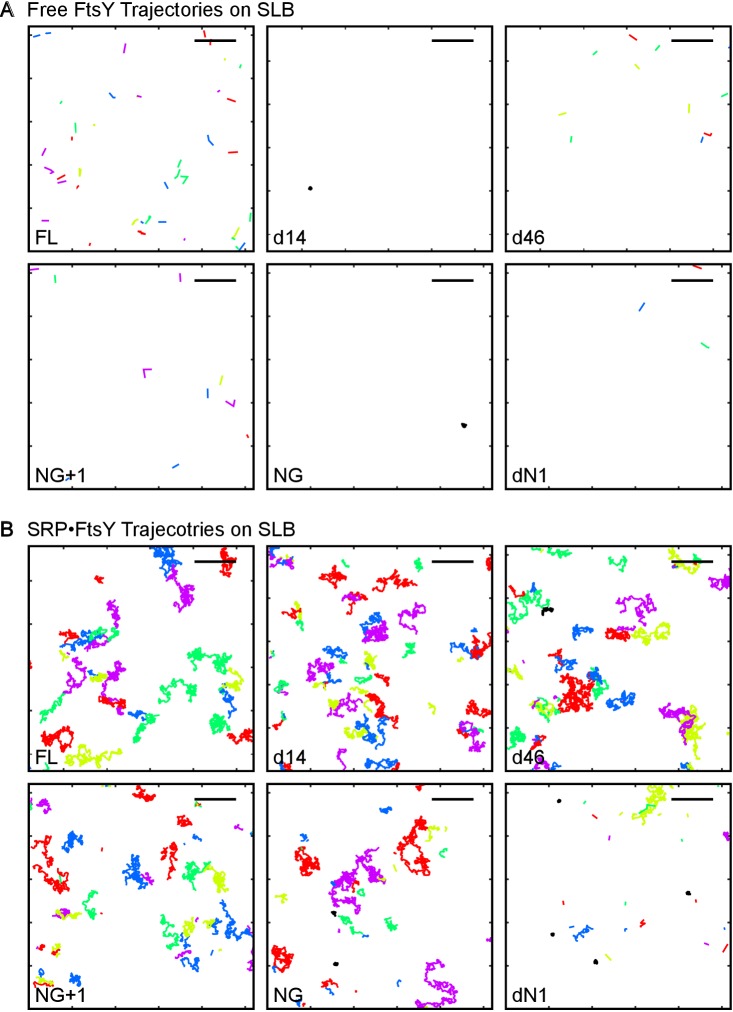 Figure 5—figure supplement 2.