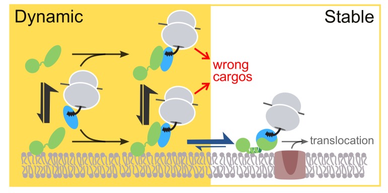 Figure 10.