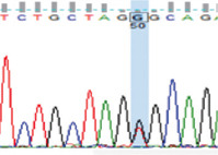 graphic file with name Vetworld-14-475-g003.jpg