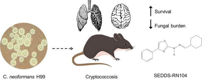 graphic file with name ao5c02705_0006.jpg