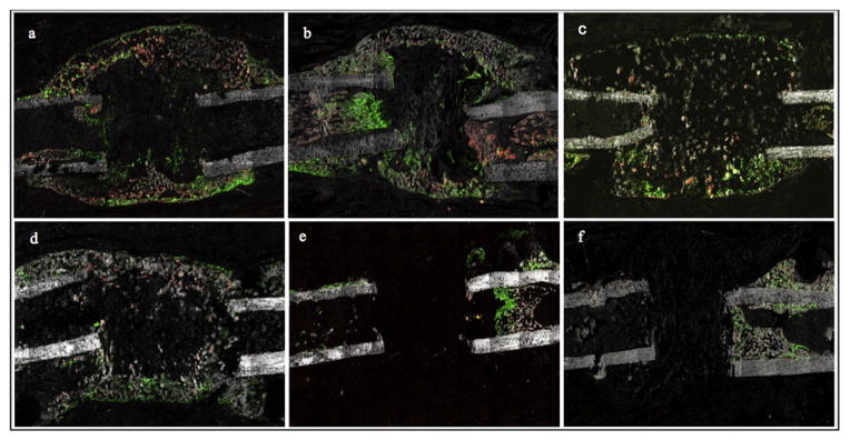 Fig. 10