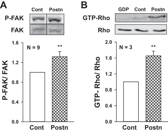 Fig. 10.