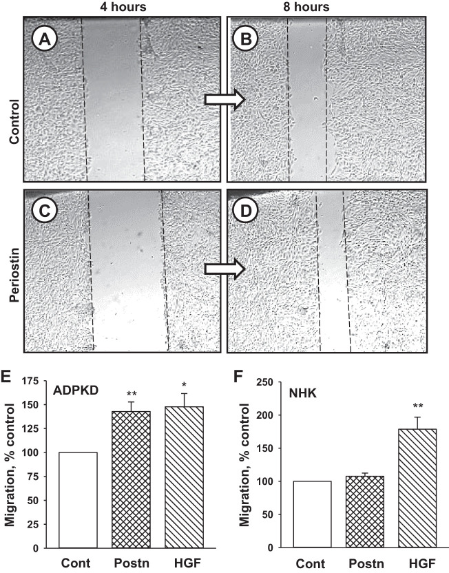 Fig. 9.