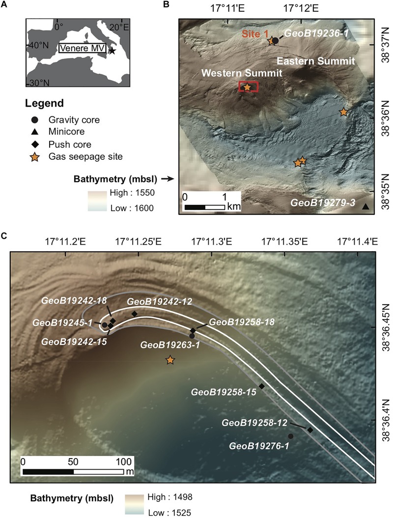 FIGURE 1