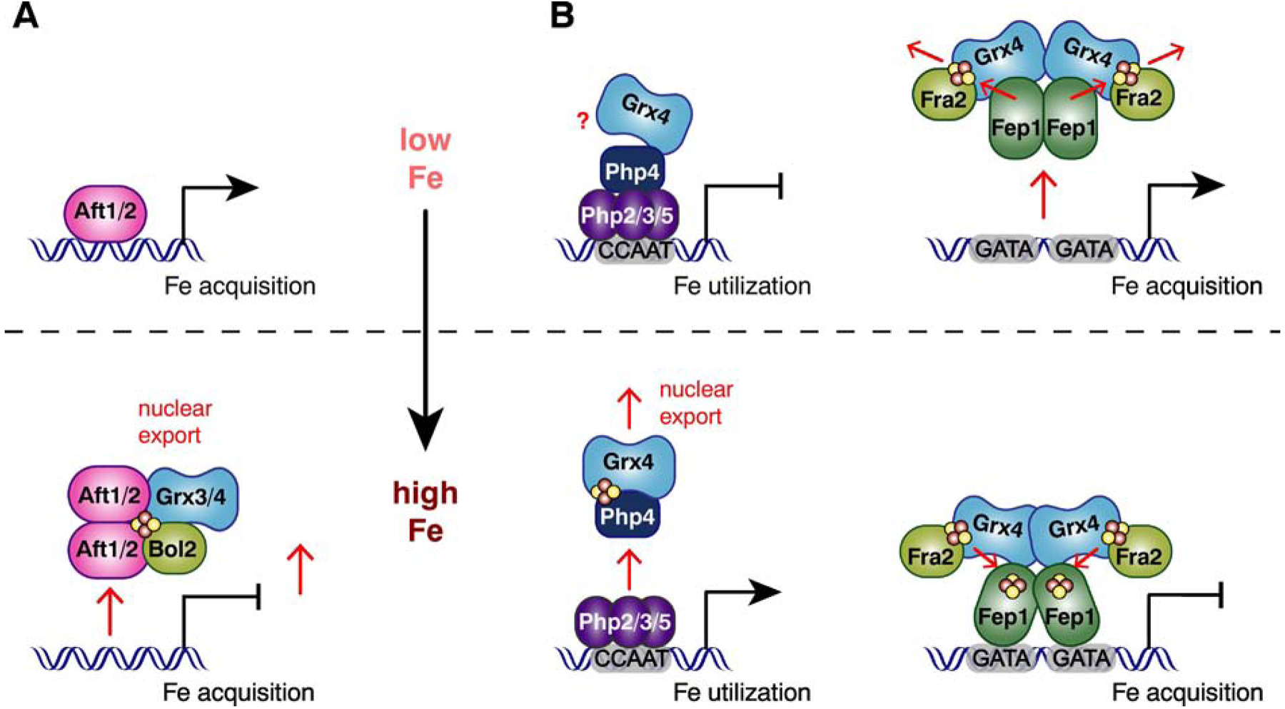 Figure 6.