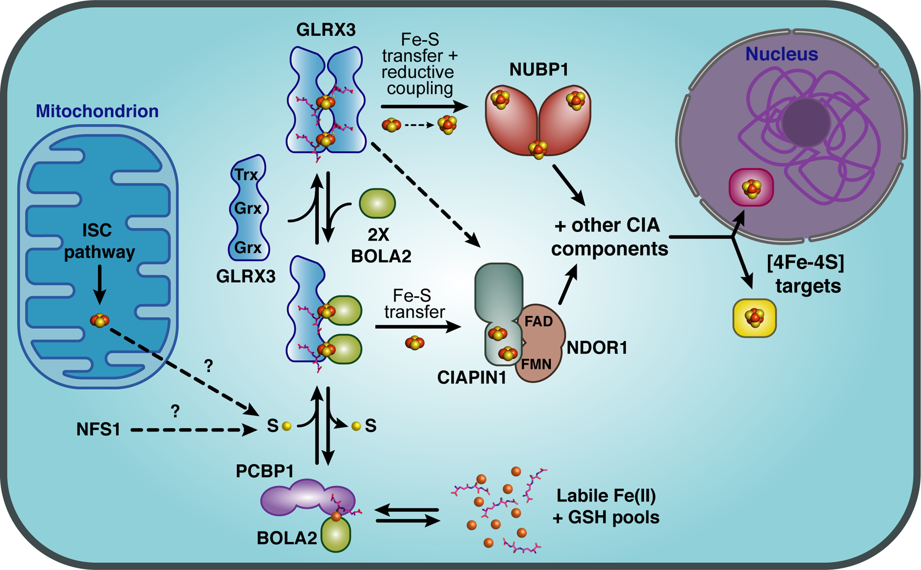 Figure 7.