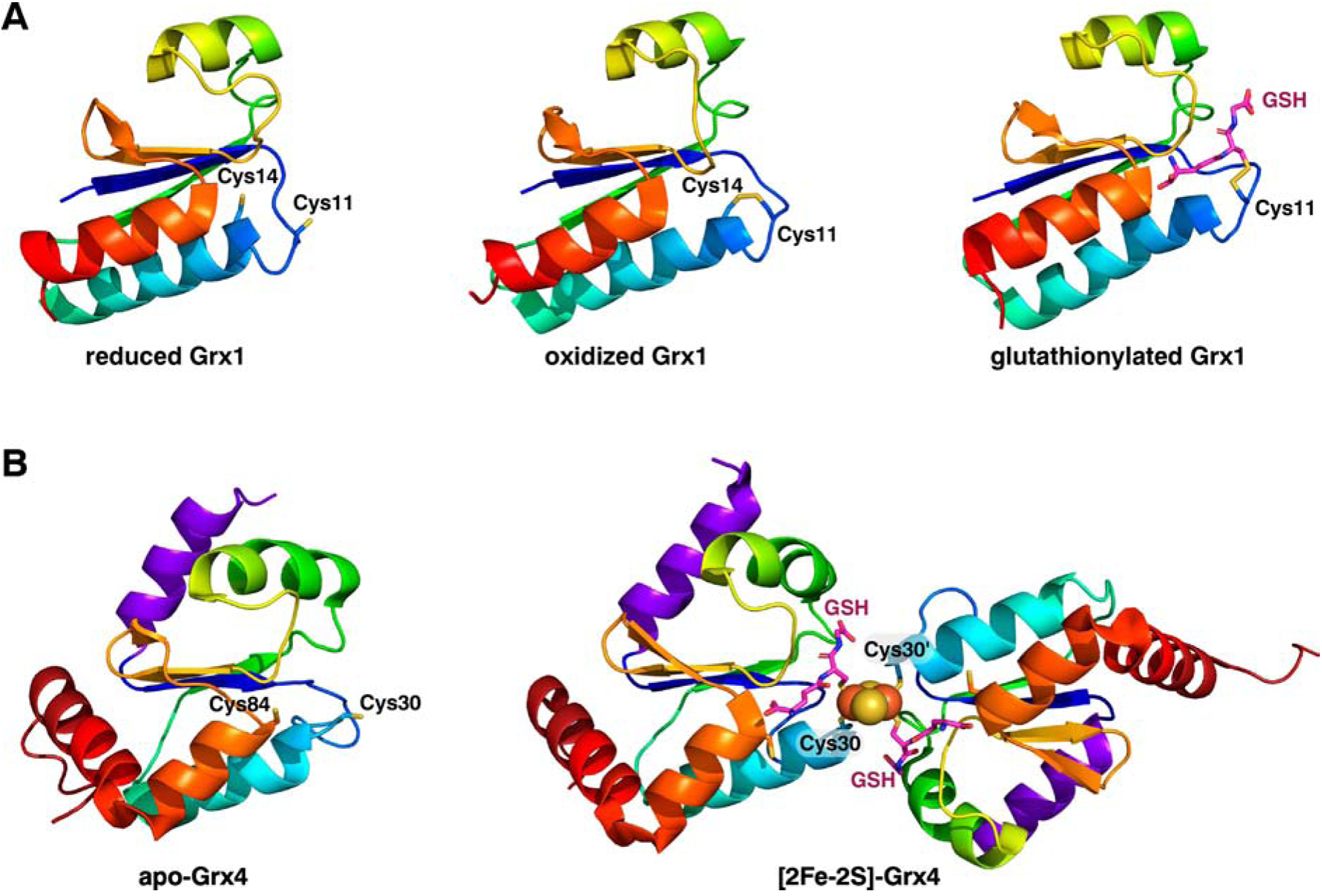 Figure 1.