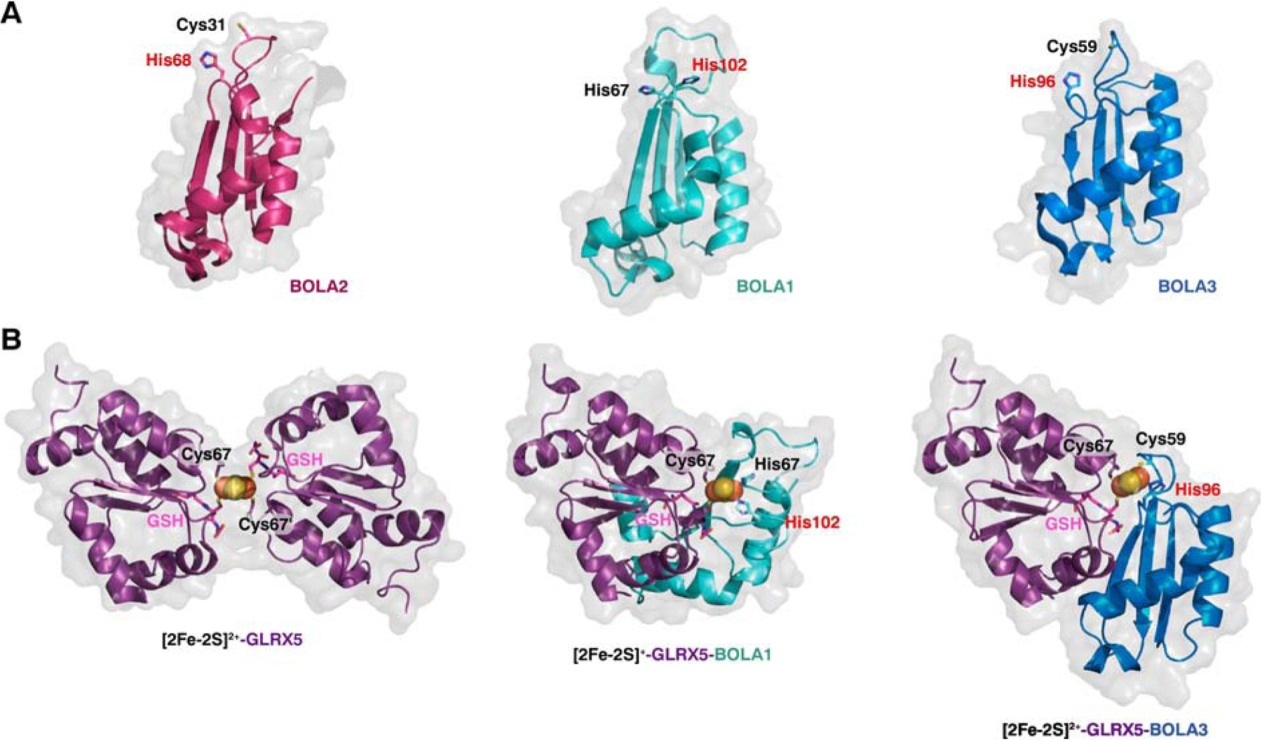 Figure 4.