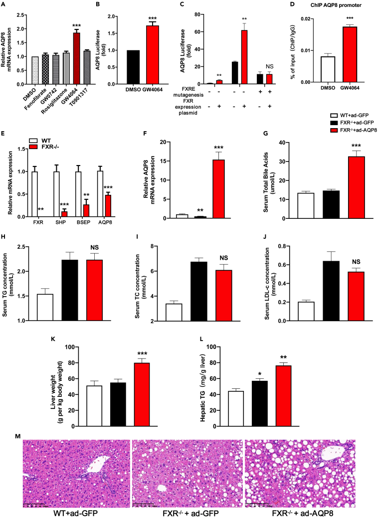 Figure 6