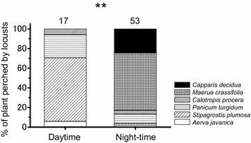 Fig. 3