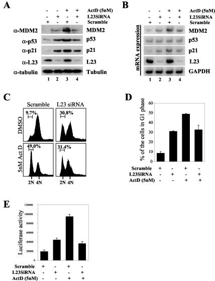 FIG. 9.