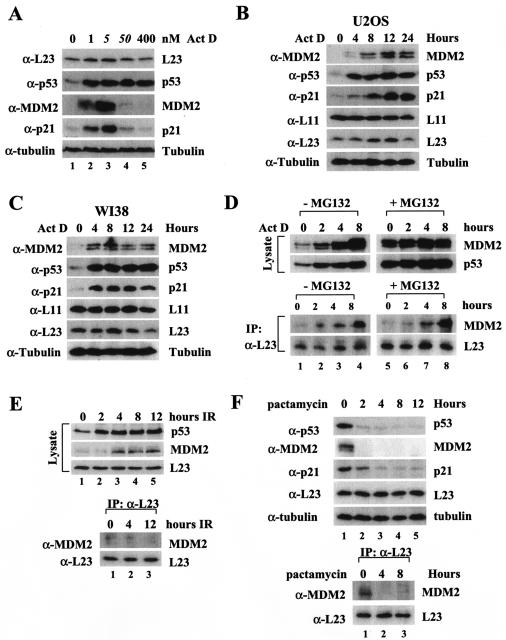 FIG. 8.