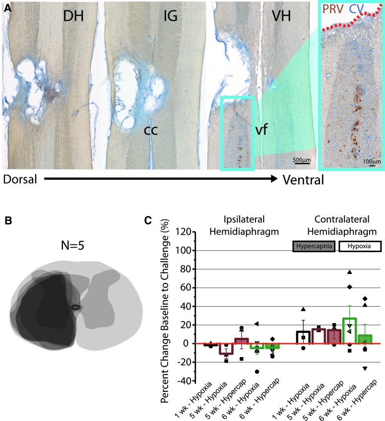 FIG. 4.