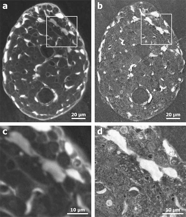 Fig. 2.8