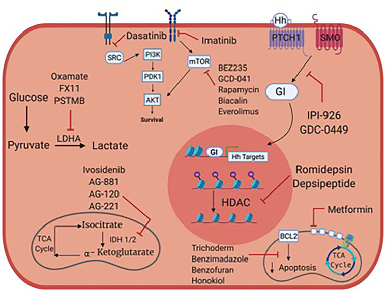 Figure 1