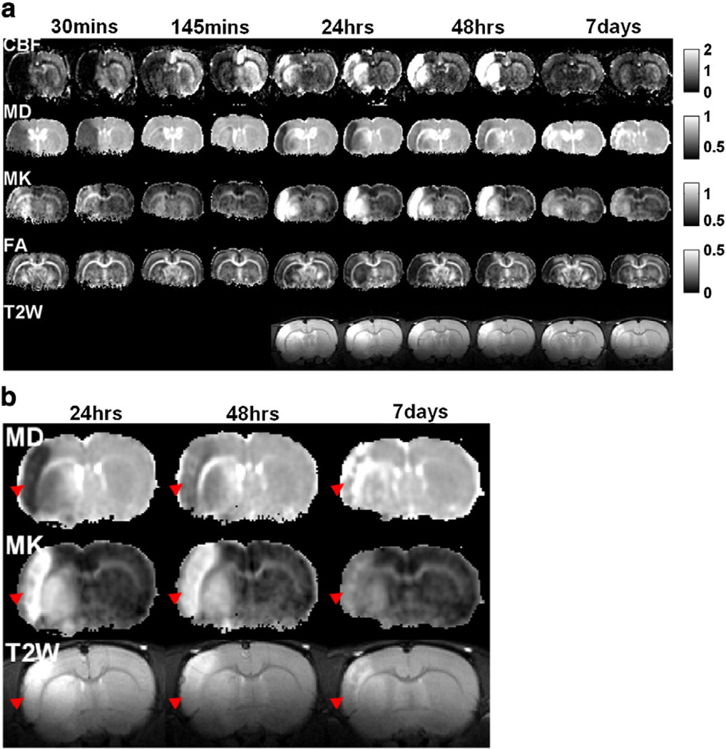 Fig. 5