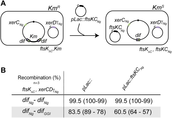 Fig. S3.