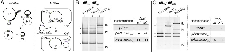 Fig. 4.