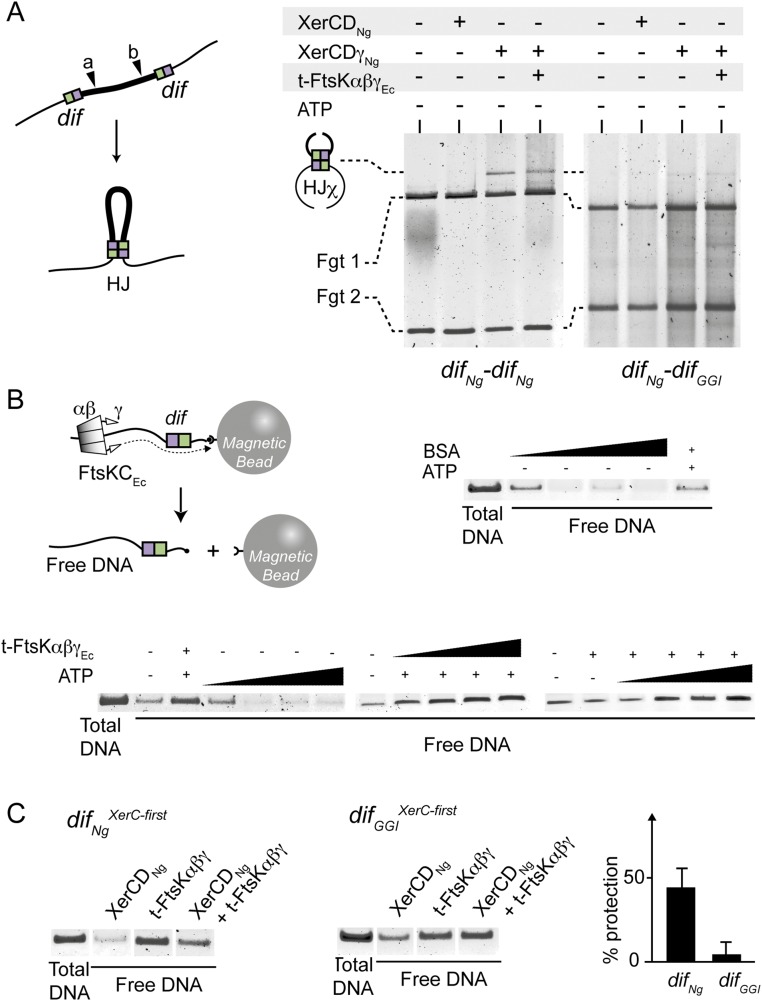 Fig. S4.