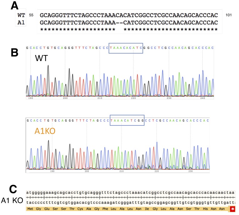 Figure 2—figure supplement 2.