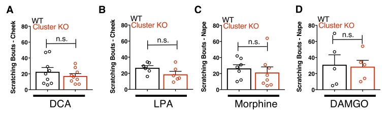 Figure 5—figure supplement 2.