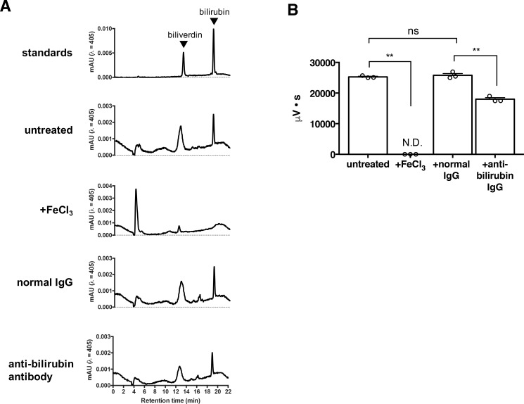 Figure 7—figure supplement 1.