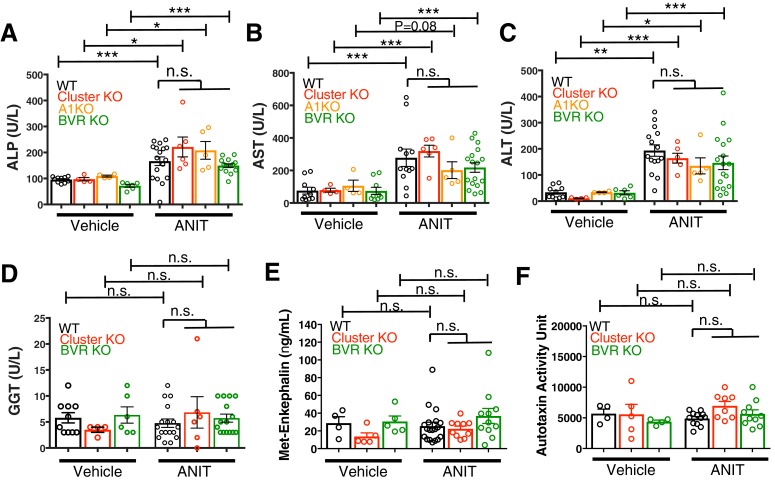 Figure 5—figure supplement 1.