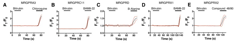 Figure 2—figure supplement 1.