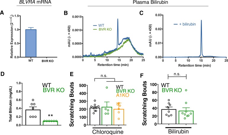 Figure 5—figure supplement 3.