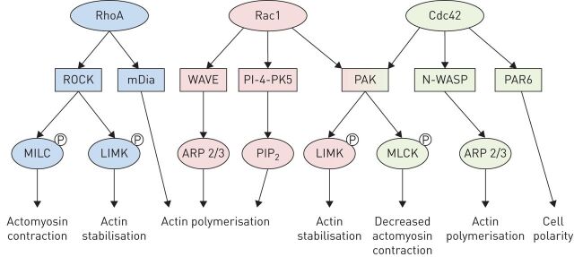 FIGURE 3