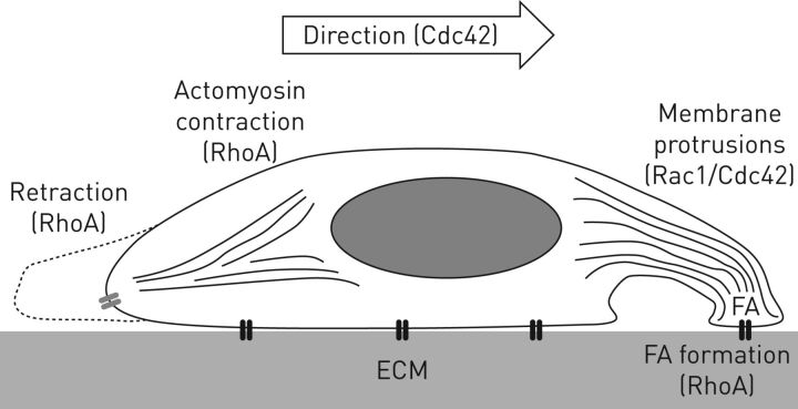 FIGURE 2