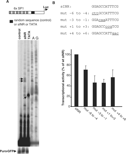 Figure 7.