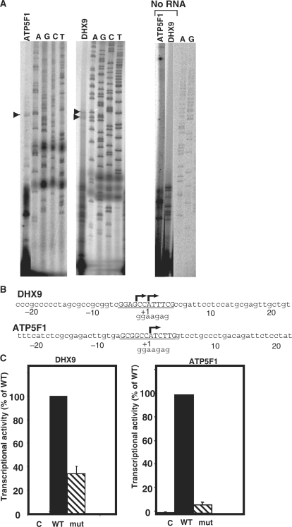 Figure 2.