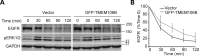 Figure 5.