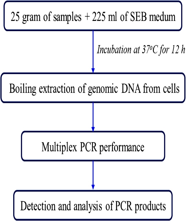 Fig. 4