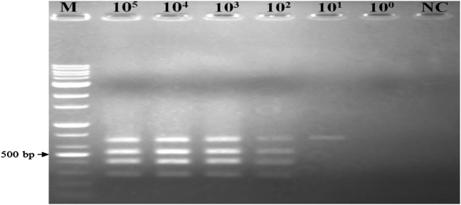 Fig. 2