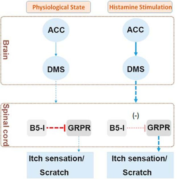 Figure 11.