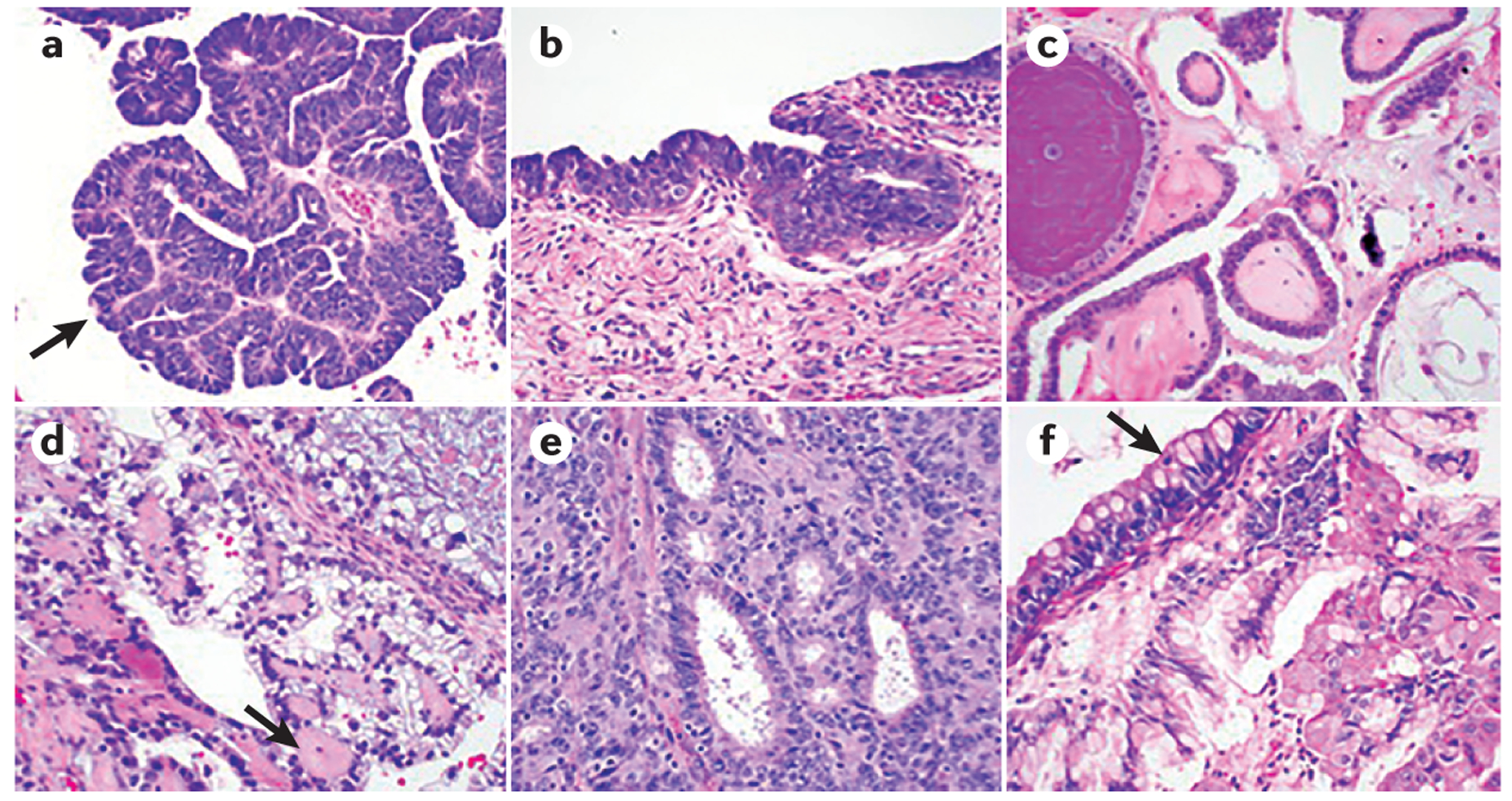 Figure 1 |