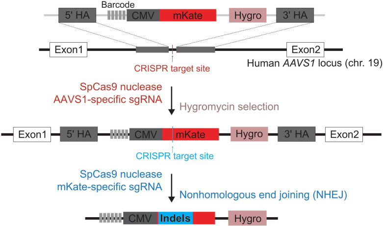 Fig. 2.