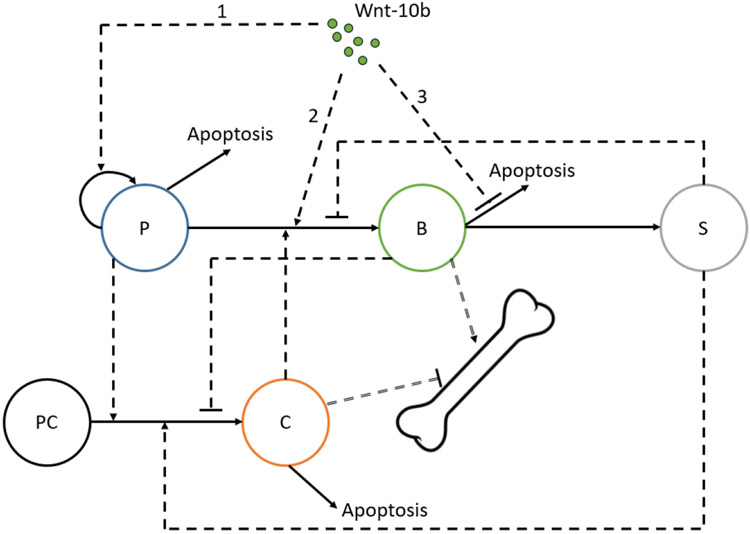 FIGURE 1