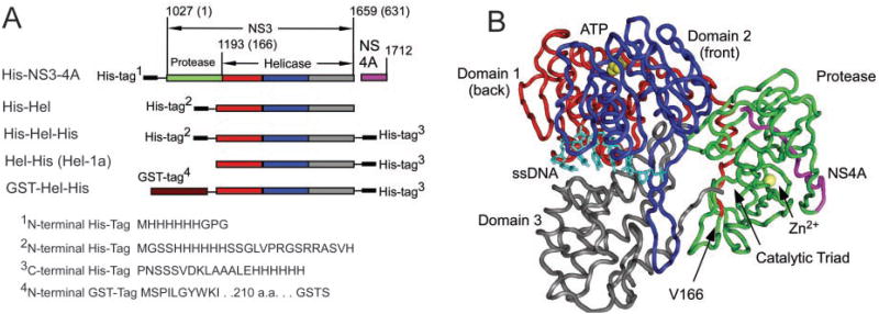 Fig. 1