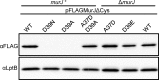 FIG 3