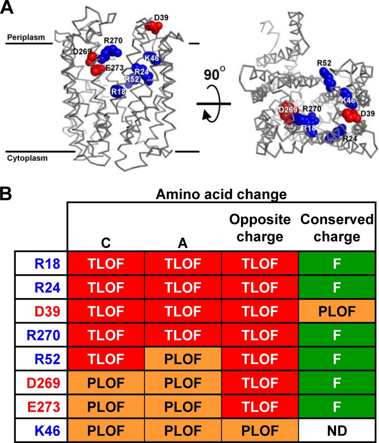 FIG 1